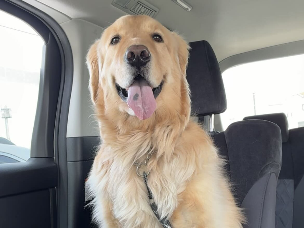 介護老人福祉施設　寿里苑サラ(大阪府松原市/河内松原駅/タクシー・バス・運転代行)_2