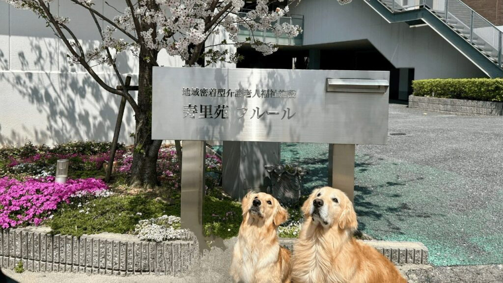 寿里苑フルールデイサービスセンター(大阪府河内長野市/三日市町駅/その他(医療・福祉系))_2