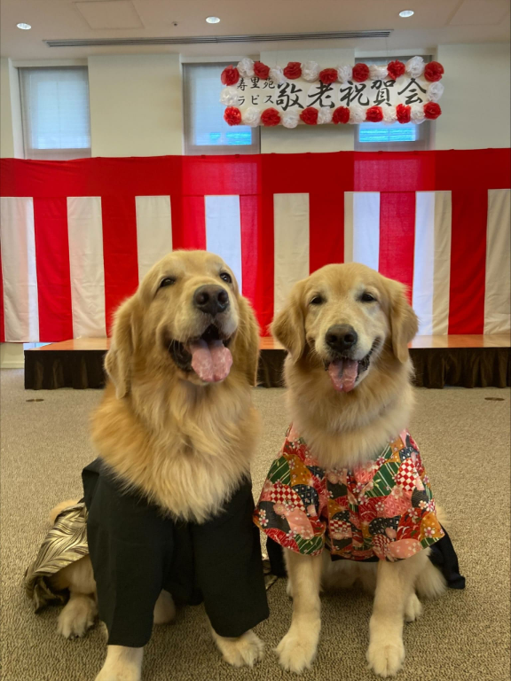 介護老人福祉施設　寿里苑ラピス(大阪府大阪市淀川区/その他(医療・福祉系))_2