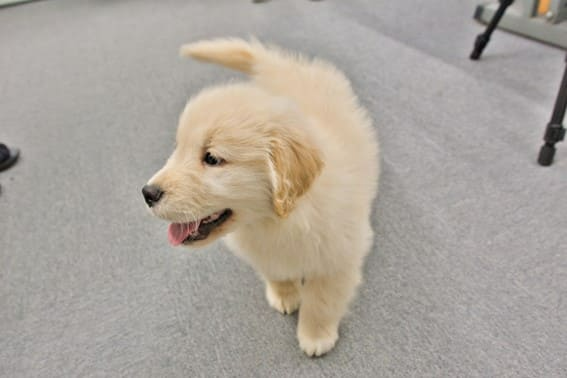 地域密着型介護老人福祉施設 寿里苑やすらぎの郷(大阪府堺市北区/その他(医療・福祉系))_2