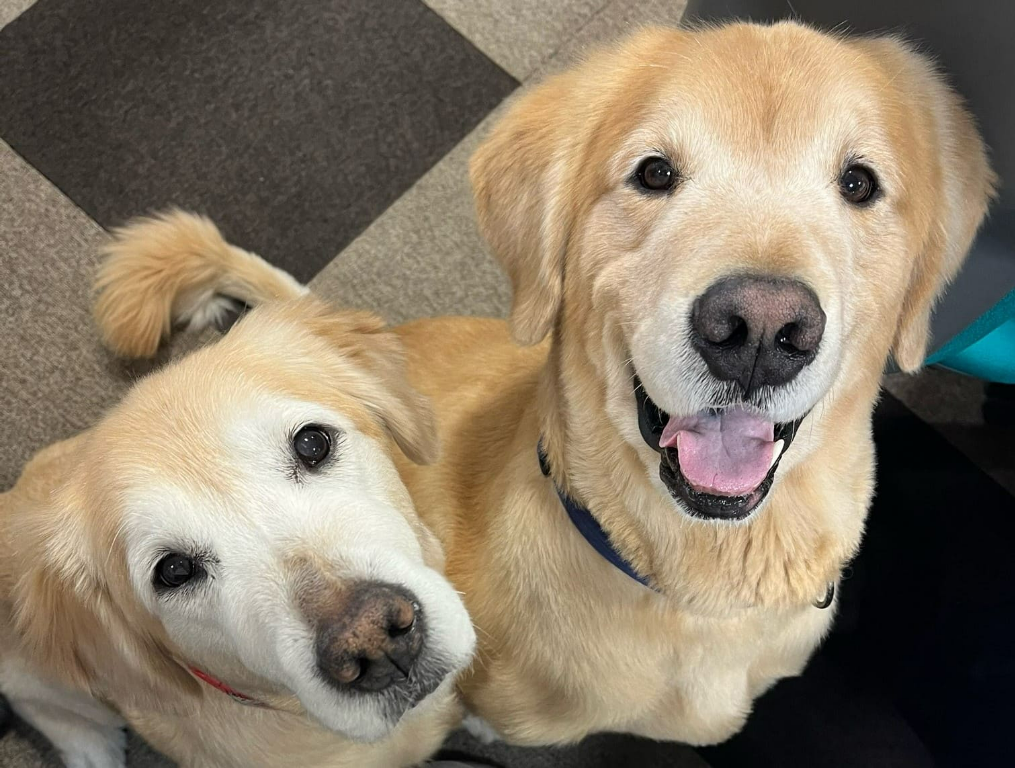 寿里苑夢の杜デイサービスセンター(大阪府富田林市/金剛駅/その他(医療・福祉系))_2
