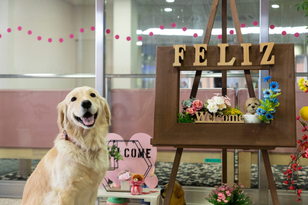 寿里苑フェリスデイケアセンター(大阪府河内長野市/三日市町駅/その他(医療・福祉系))_2