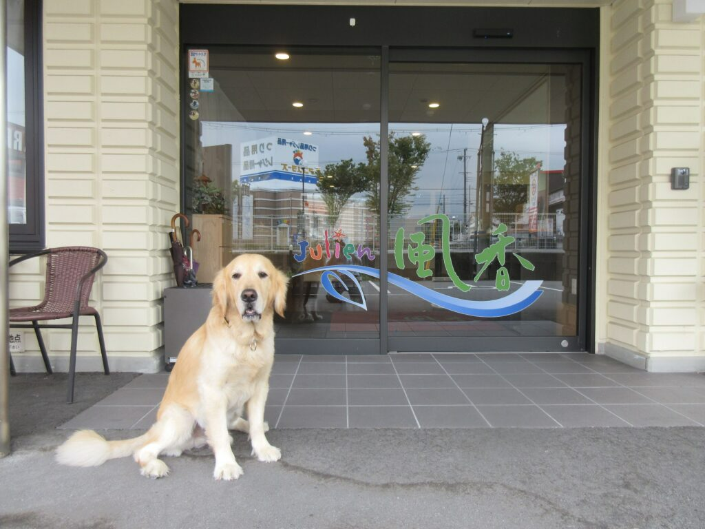 サービス付き高齢者向け住宅 寿里苑風香(大阪府河内長野市/河内長野駅/その他(医療・福祉系))_3