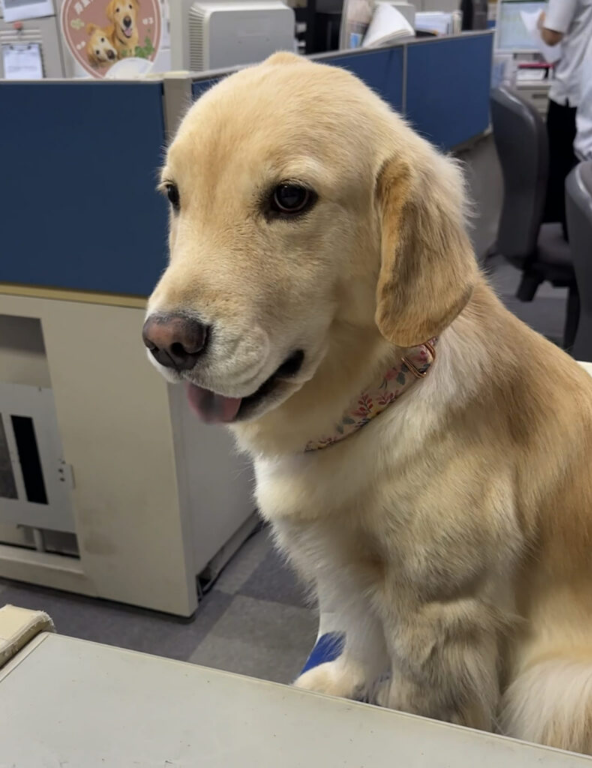 寿里苑フェリスデイケアセンター(大阪府河内長野市/三日市町駅/その他(医療・福祉系))_3